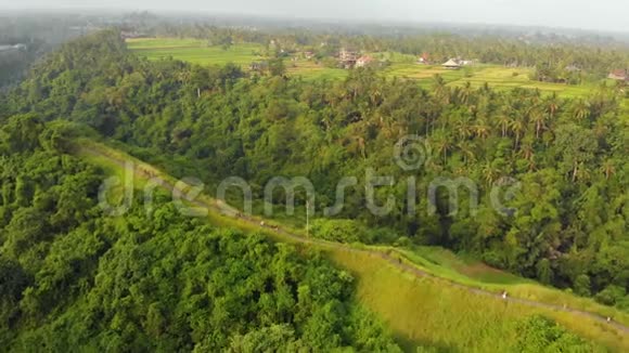 空中拍摄的艺术家步行坎布汉岭步行在乌布村在巴厘岛山顶上的步行道视频的预览图