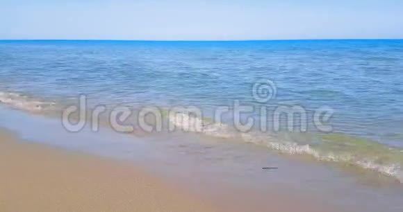 热带加勒比海沙滩金色沙滩在蓝天和海洋下度假放松和旅行理念无缝环回视频的预览图