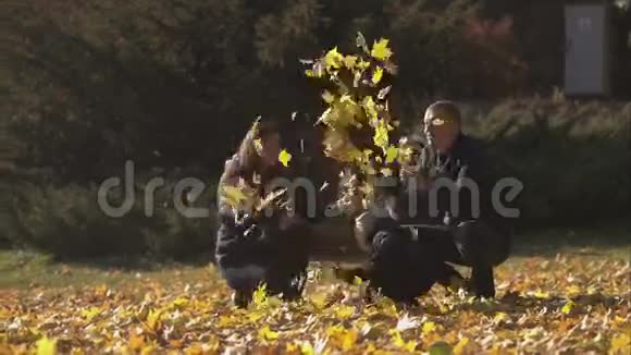 年轻的家庭在秋天沉迷于公园视频的预览图