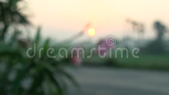 粉色花朵的焦点镜头清晨的汽车在公路上经过视频的预览图