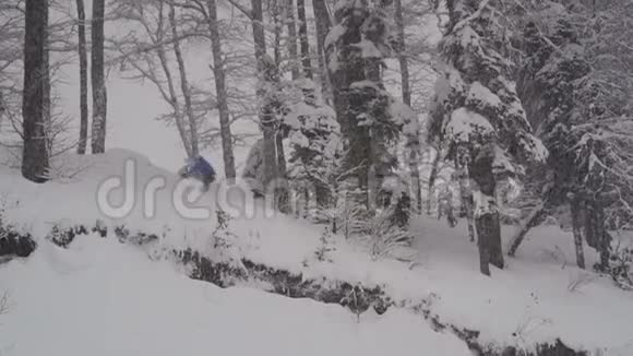 滑雪者Freerider在森林里跳跃视频的预览图