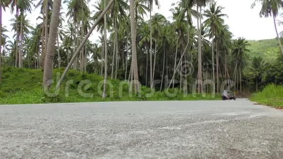 男子骑自行车沿着棕榈树林的道路行驶视频的预览图