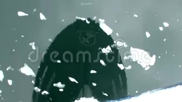 南极海洋水镜冰中浮船前的反射视频的预览图