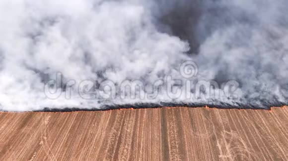 空气污染火灾烟雾燃烧农业领域视频的预览图