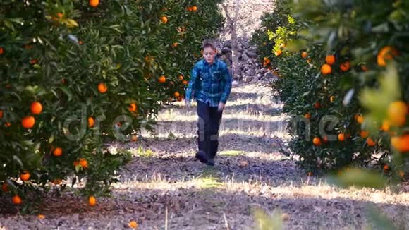 小男孩在橙色的花园里奔跑视频的预览图
