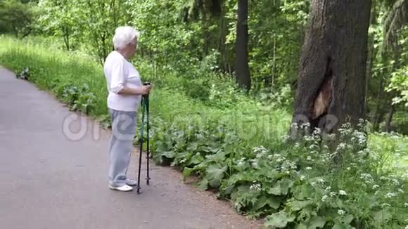 祖母带着北欧的手杖走着老灰的视频的预览图
