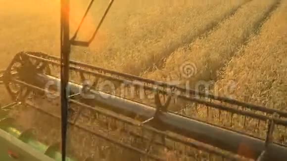 从联合收割机驾驶舱看到日落时收集小麦收获粮田作物季节视频的预览图
