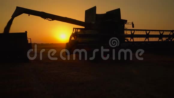 联合收割机的剪影在日落时把小麦倒进卡车里收获粮田作物季节视频的预览图