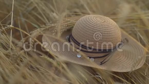 日落时一只草汉躺在小麦上收获概念夏季结束视频的预览图