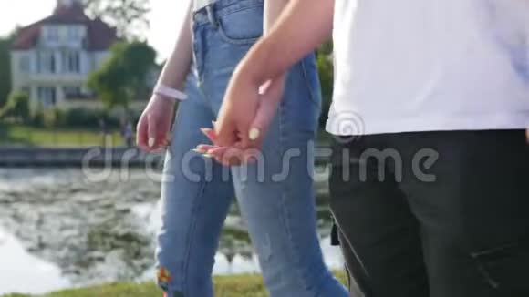 亲密的两个情人携手男女牵手在公园散步的细节剪影夫妇视频的预览图