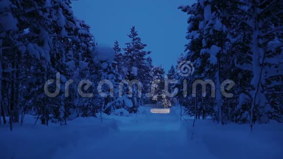 冬季森林和降雪中的大灯视频的预览图