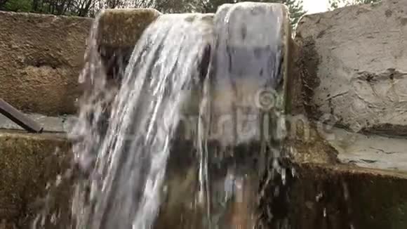 穿过苔藓岩石的森林溪流的干净淡水视频的预览图