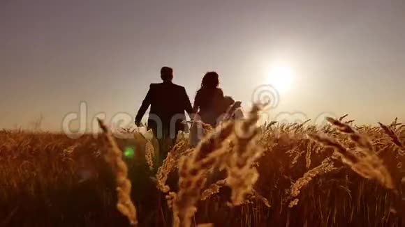 新娘和新郎美丽的年轻夫妇在夕阳的余晖下带着小麦在田野上奔跑视频的预览图