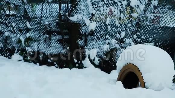 白雪覆盖的老院子的全景视频的预览图
