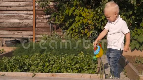 可爱的小男孩水的绿色植物从花园浇水罐小园丁概念视频的预览图