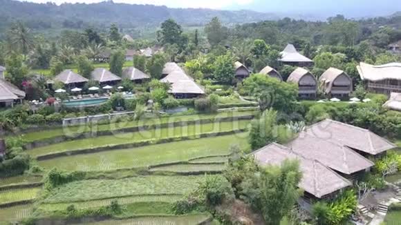 从无人驾驶飞机上看到山和农民住宅的水稻梯田印度尼西亚巴厘UHD4K视频的预览图