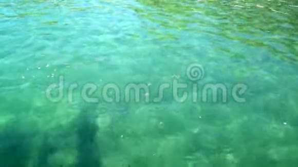 地中海沿岸有成群小鱼的人视频的预览图