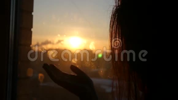欣赏城市美丽的日落她牵着手和手指在太阳的轮廓上抓住太阳视频的预览图
