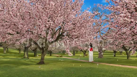 日本和服女孩和樱花树开花3D视频的预览图