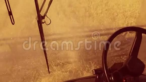 男子农民驾驶结合收割在田间与小麦手观从第一人农业小麦视频的预览图