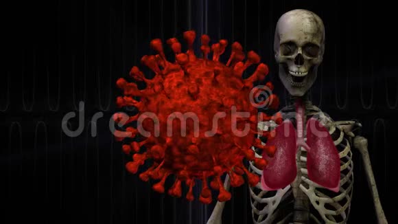 Corona病毒Covid19无缝循环三维动画与骨骼和肺旋转视频的预览图