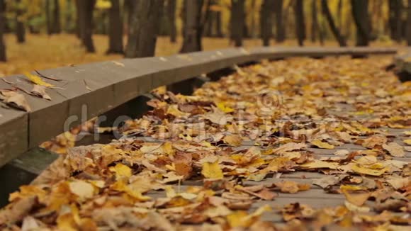 秋天公园的木路快点杜莉视频的预览图