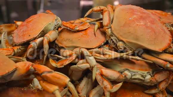 美味的新鲜准备的螃蟹特写视频的预览图
