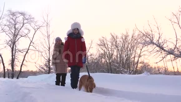 孩子们和狗狗在冬天的公园里沿着小路散步两个女孩在森林里冬天在雪地里和狗玩视频的预览图