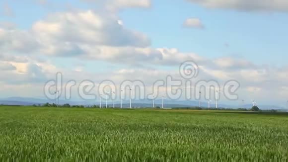 波兰风能时间推移有风车和盛开的麦田的景观视频的预览图