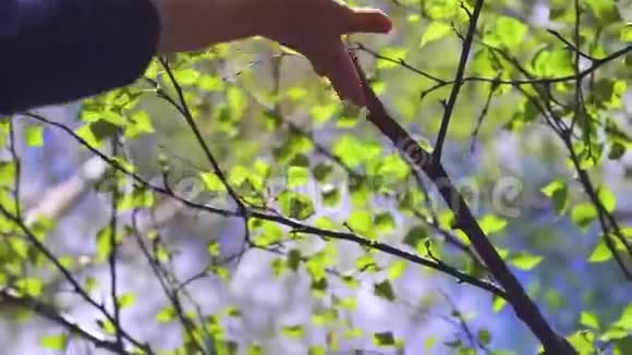一个女人手摸着一棵开着花的叶子的树枝视频的预览图