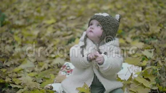 婴儿在户外玩耍秋天公园里飘落的黄色枫叶视频的预览图