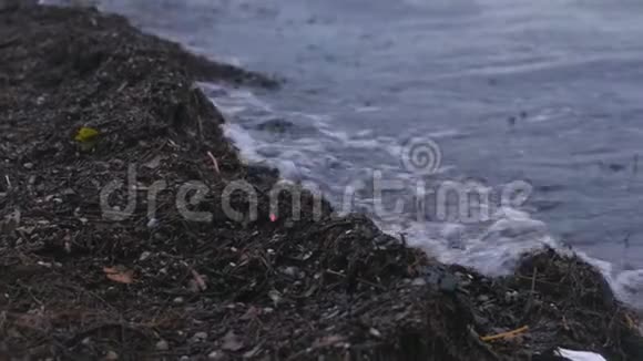 日落时沙滩上的堪卡海藻视频的预览图