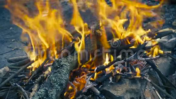 与燃烧的原木燃烧缓慢的运动视频的预览图