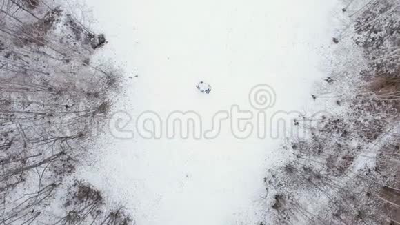 人们在冬天的林雪里围着罗西打圈空中无人驾驶飞机飞越山区好玩的家庭视频的预览图