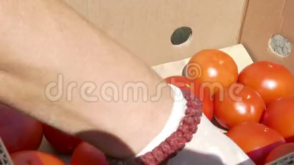 把新鲜的红西红柿包装在盒子里视频的预览图