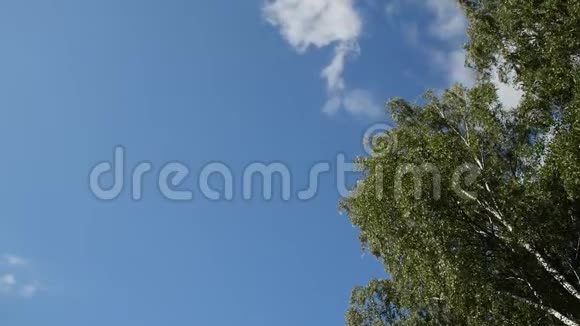 一段时光流逝的天空视频在阳光明媚的一天树枝上飘来的云视频的预览图