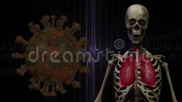 科罗纳病毒Covid19无缝循环三维动画与骨架和肺背景旋转视频的预览图