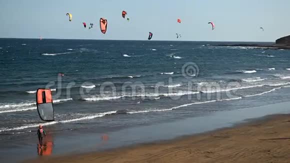 许多五颜六色的风筝在海滩上和风筝冲浪在大风天乘风破浪视频的预览图