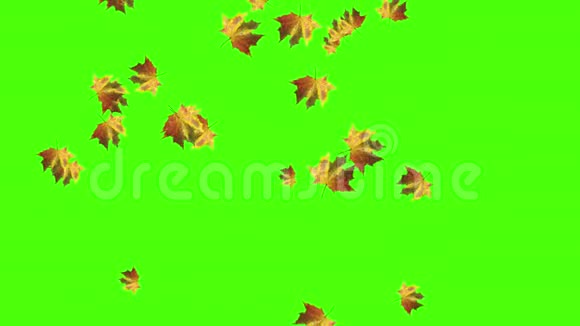 秋叶飘落绿屏无缝环视频的预览图