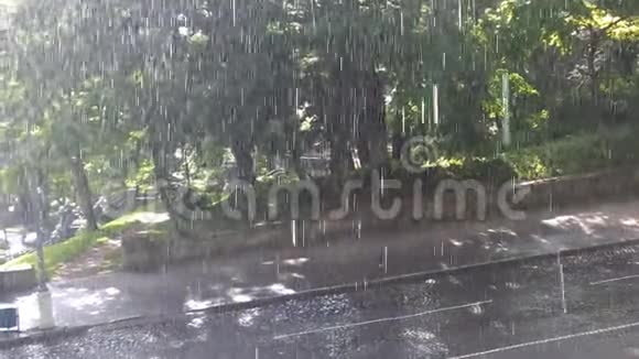 公园里的夏天大雨视频的预览图