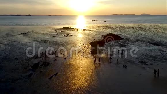 大韩松林山林度假村泥滩日落韩国亚洲视频的预览图