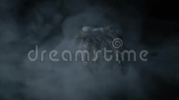 黑色狼蛛从烟雾中出现视频的预览图