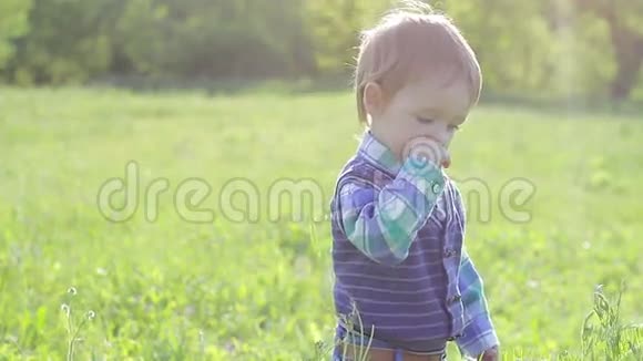 小男孩走在草地上采花视频的预览图