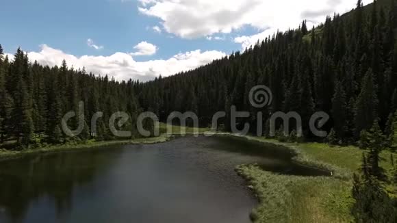 乌克兰喀尔巴阡山脉美丽的马利切卡山湖夏日阳光明媚乌克兰的美丽本性视频的预览图
