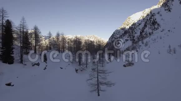 空中无人机飞行建立了冰湖与滑雪和雪林户外山地冬季雪视频的预览图