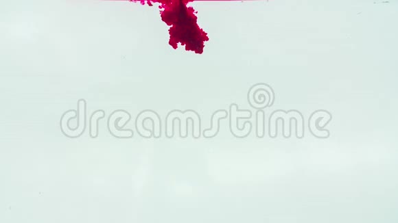 白色背景上的红色墨水视频的预览图