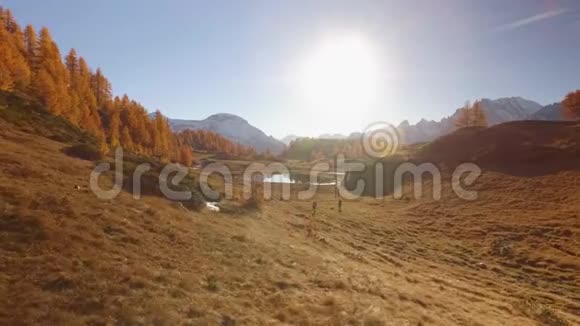 侧面POV步行在秋天的田野小路附近的湖与太阳和雪骑阳光明媚的秋日在五彩缤纷的红林中徒步旅行视频的预览图