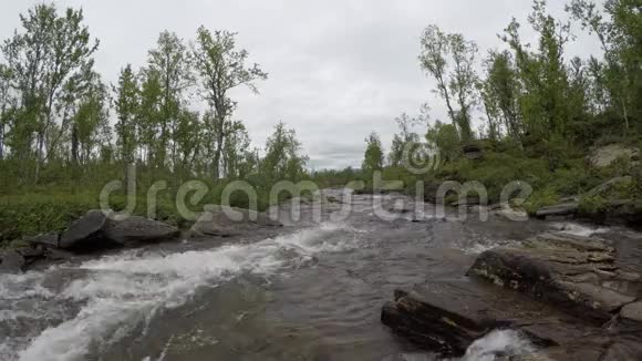 北方葱郁的夏日大自然中的长淡水山涧视频的预览图