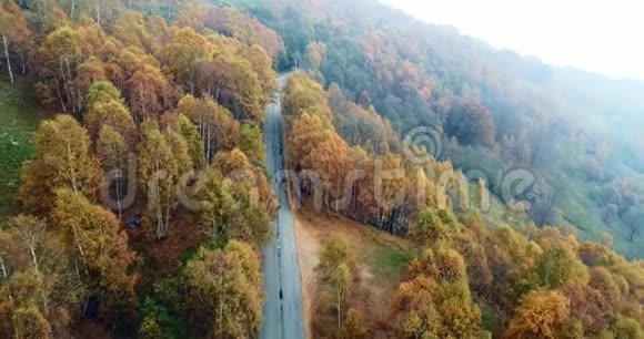 在五彩缤纷的乡村秋林中仰视高空俯视道路秋天的橙色绿色黄色的红色树林视频的预览图