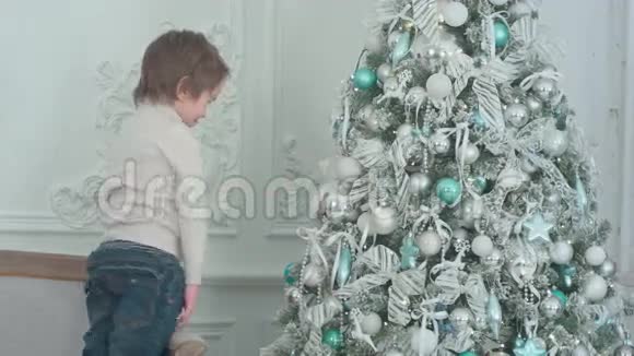 小男孩伸出舌头看着他自己在圣诞树上的影子视频的预览图